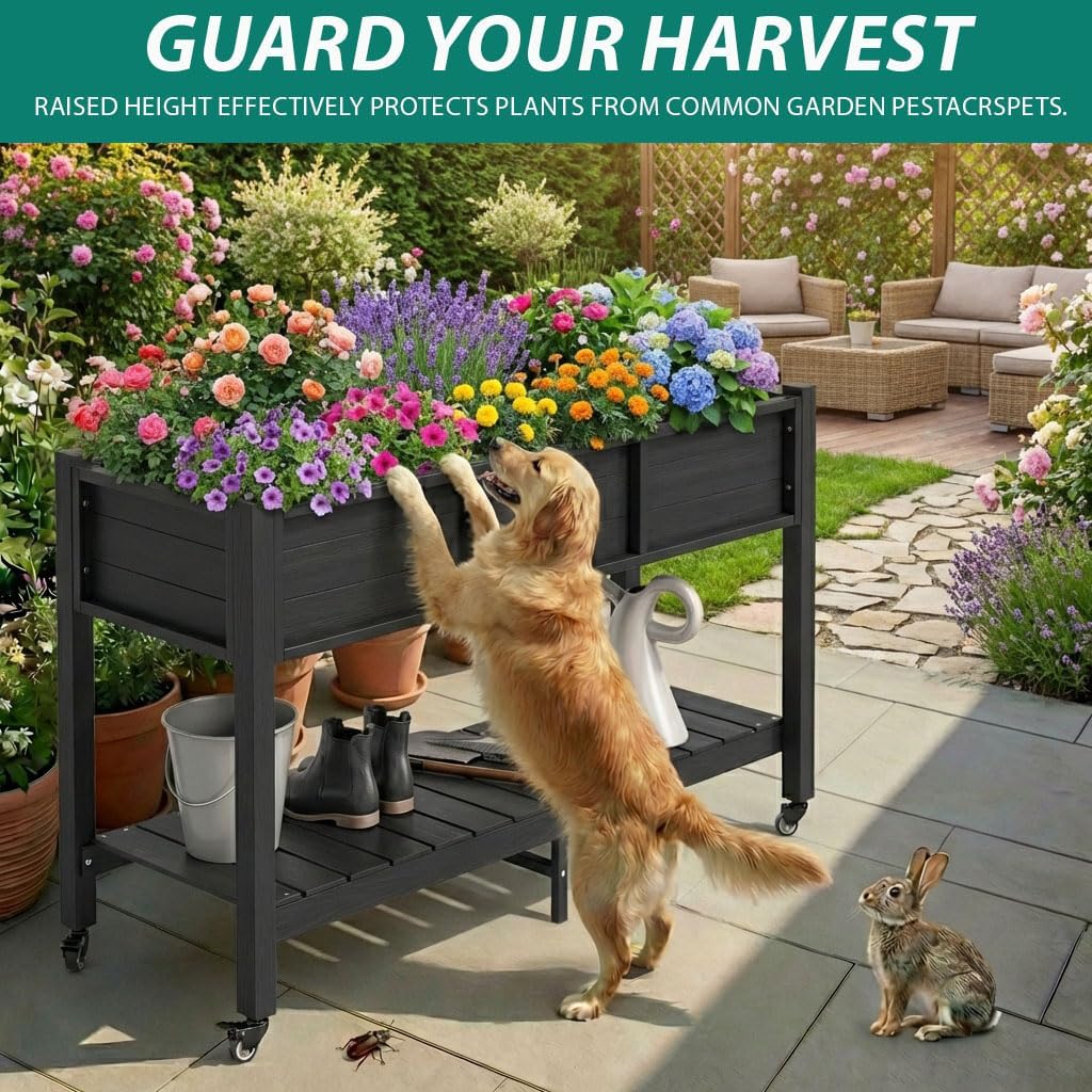 Elevated Raised Garden Bed Wit - Garden Storage Box ulasan dan harga